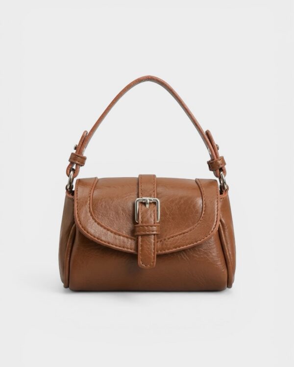 Celine Vintage Havane